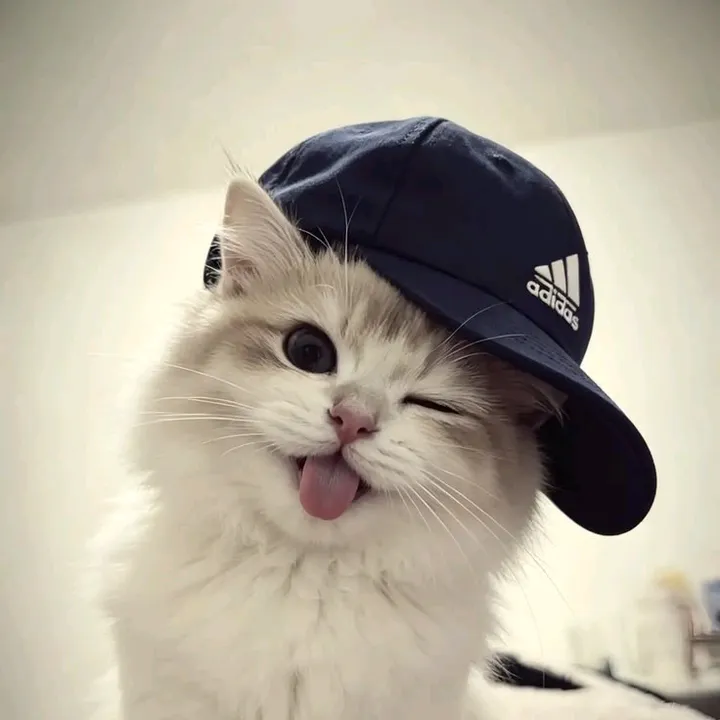 ilaaa_ey