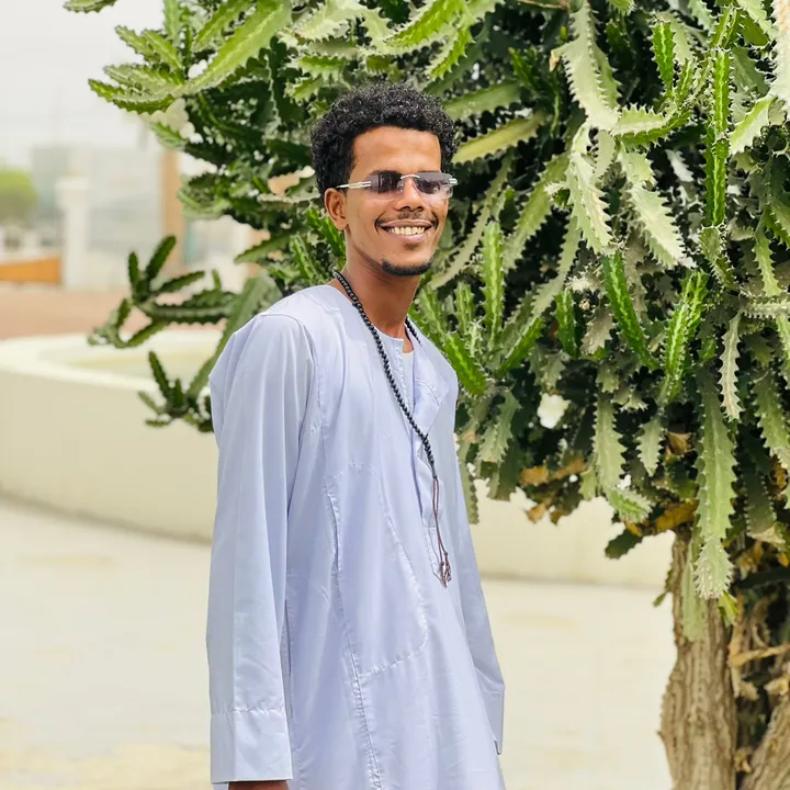 @alsadig62