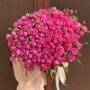 melex_22