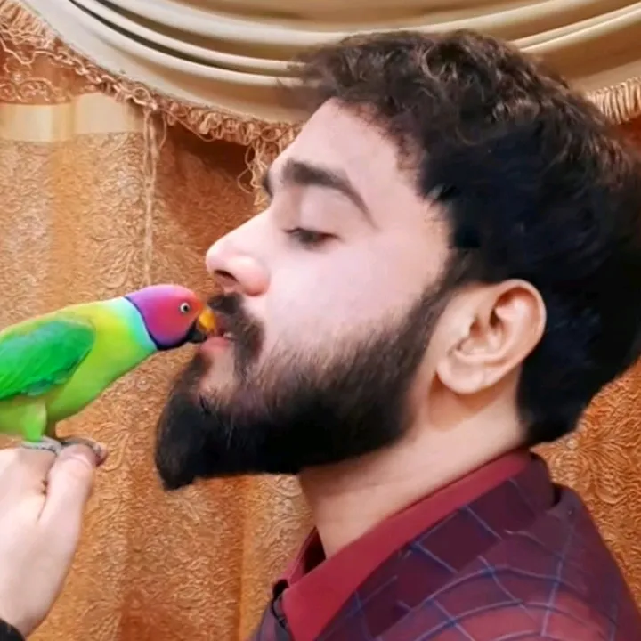 mohsin.zaikhan