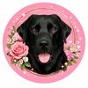 lisatheblacklab