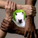 @soy_un_gat0