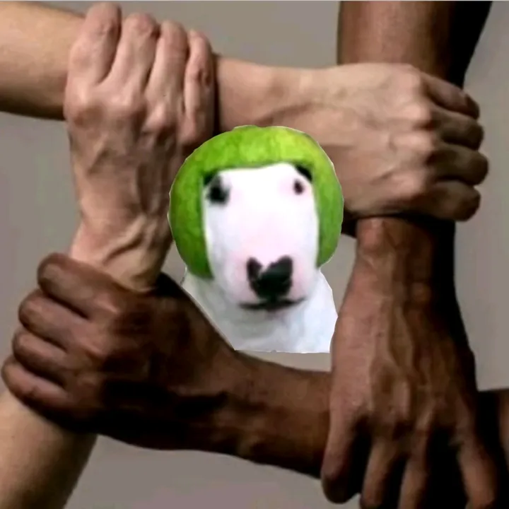 soy_un_gat0