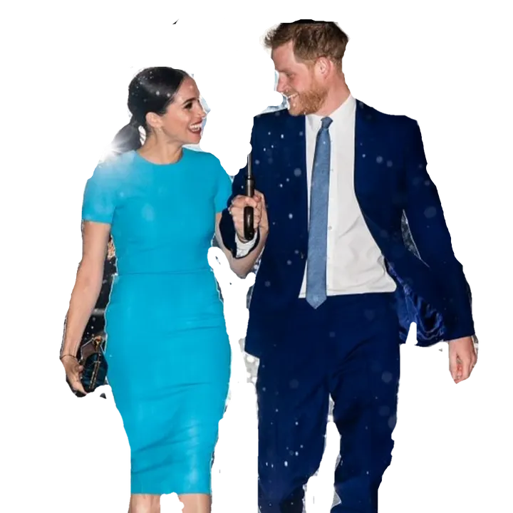 @harryandmeghan_