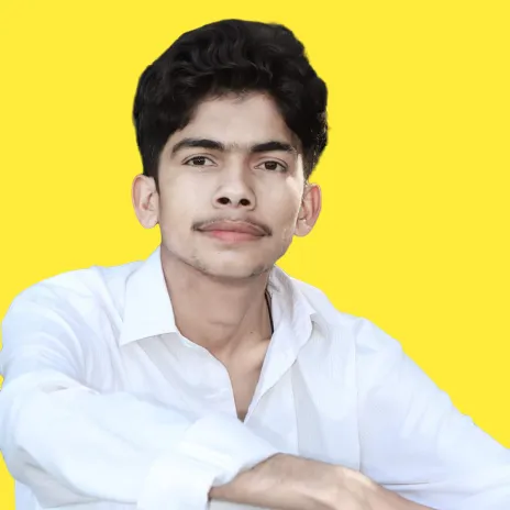 tariqbozdar110