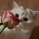 @jjmnchy