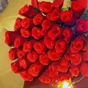 @rabinasamia