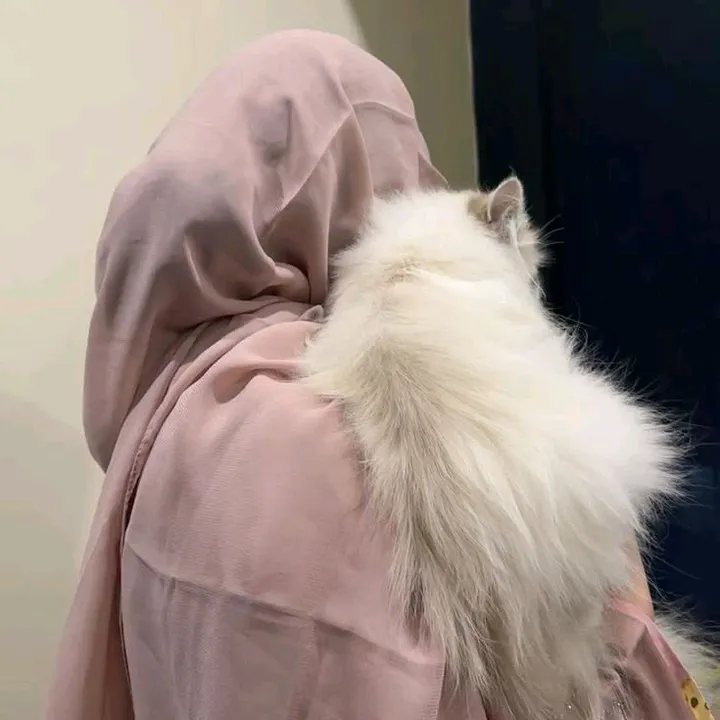 @itxmekinzuu50