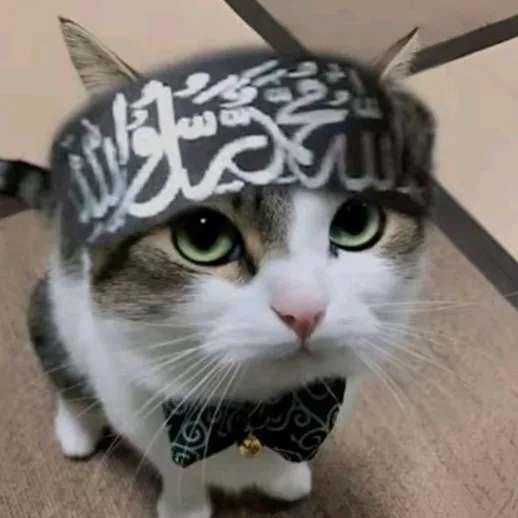 @ujiefcc_