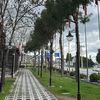 izmirli_35_04