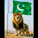 @rezwan.khan310