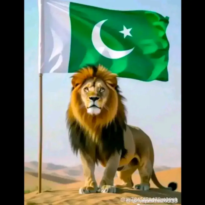 @rezwan.khan310