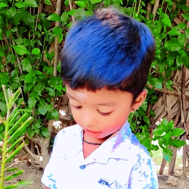 @vimal.vimal06