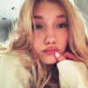 _blondii