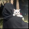dij_ablogs