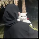 @dij_ablogs