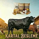 @kartal.besleme