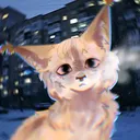@beterok_woof