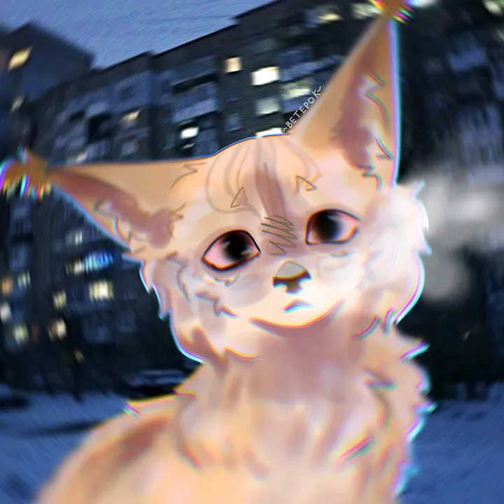 beterok_woof