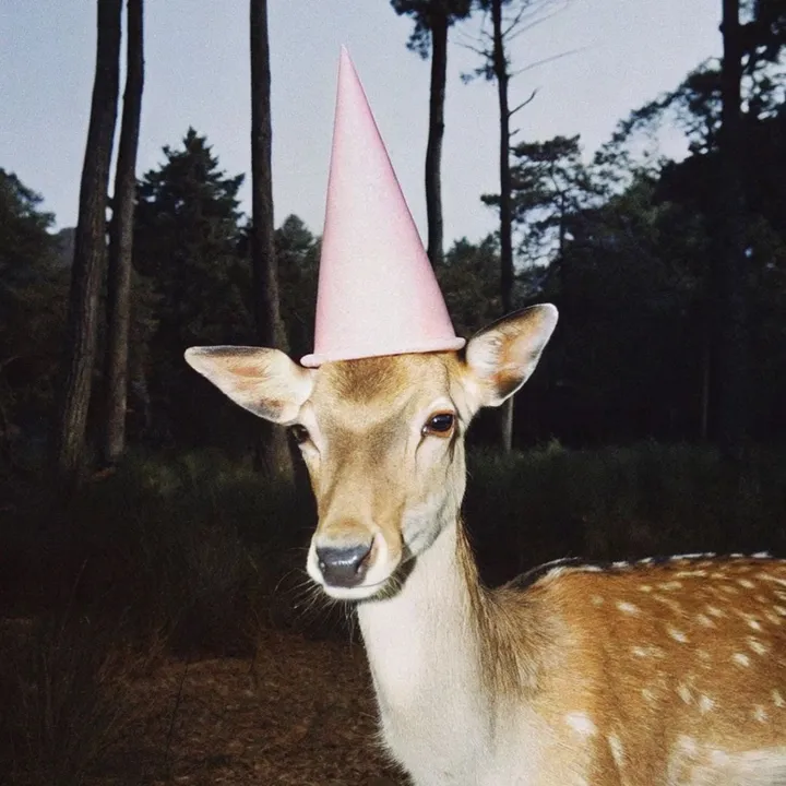 @.dailyperetti