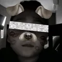 @yosoyyuyito363