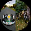 thenorcomanik1