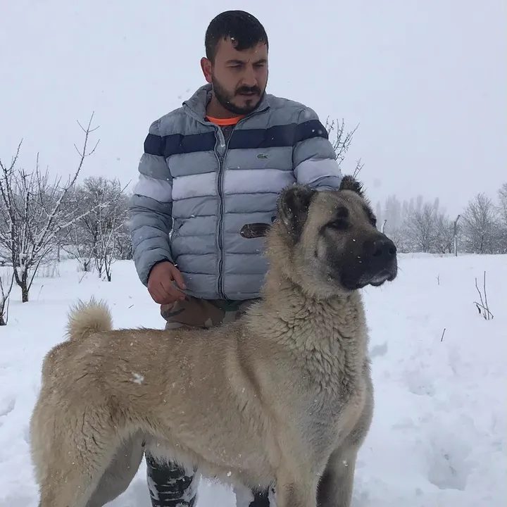 fatih.kolay16