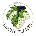 @luckyplants.81