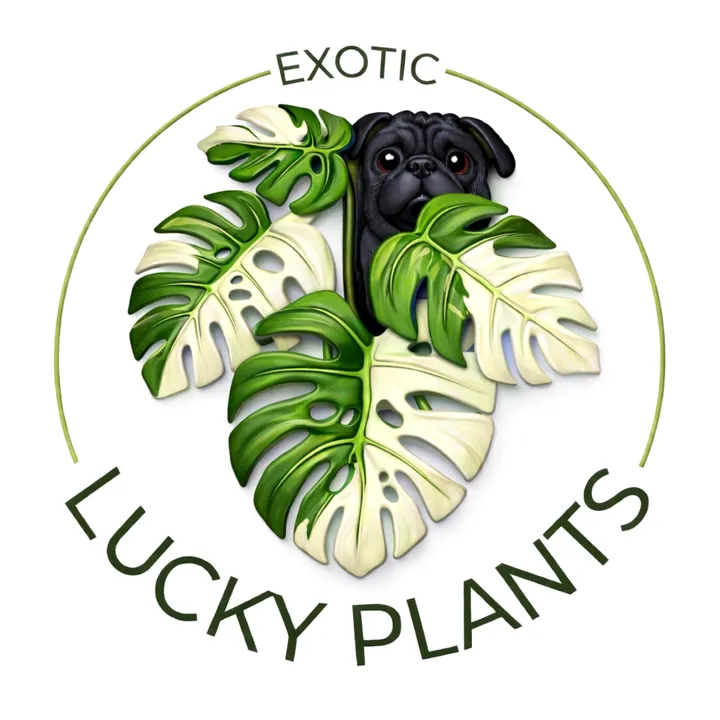 luckyplants.81