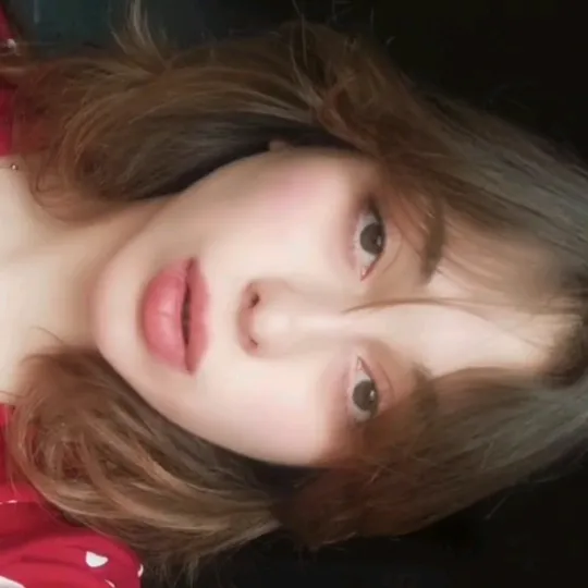 gugulik_
