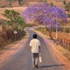 aung291078