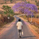 @aung291078