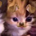 @ninnirmini