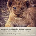 @alibek.kylyshbaev
