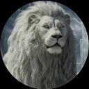 @sardor_sulton_511
