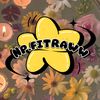 np.fitraww