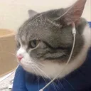@locurap