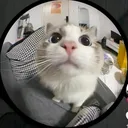 @nestleaguilarferm