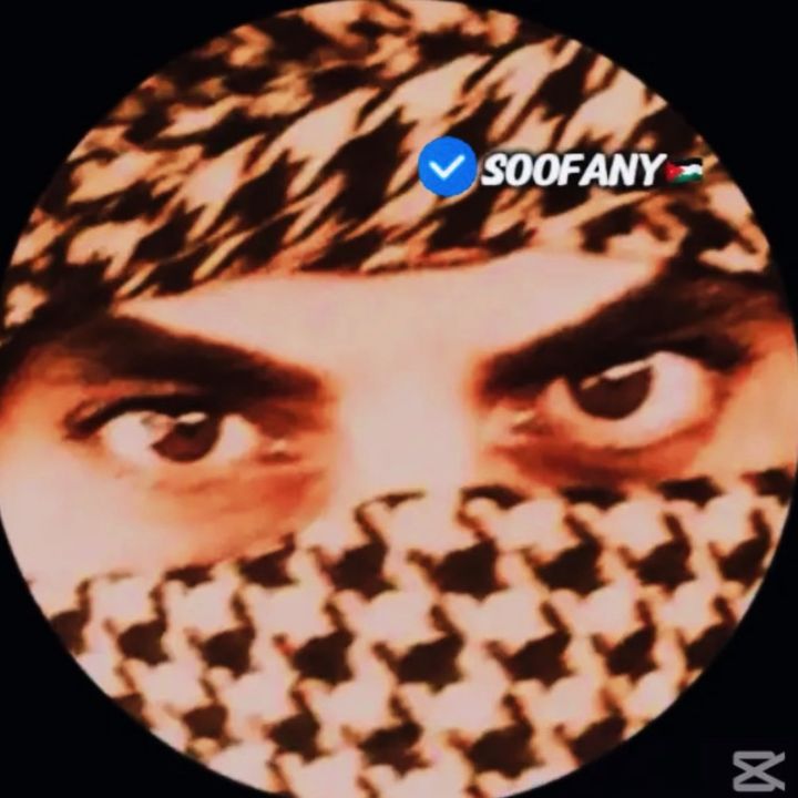 ♛『𝑺𝑶𝑶𝑭𝑨𝑵𝒀.₉₅』♛🔺 - original sound