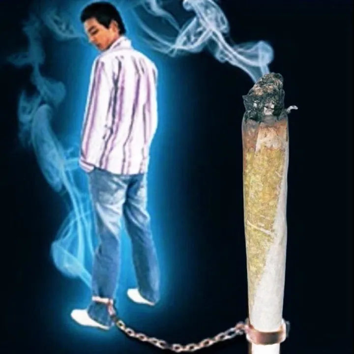 madebygravy