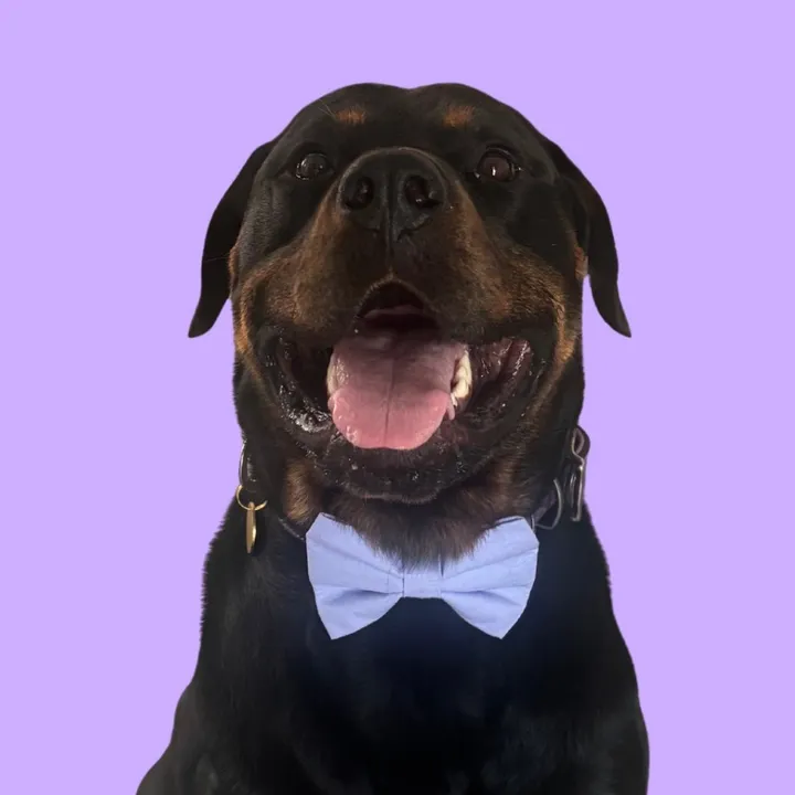 huxtherottie