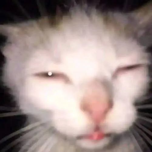 @tanucing