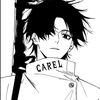 carelstr_1