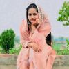 gull_053