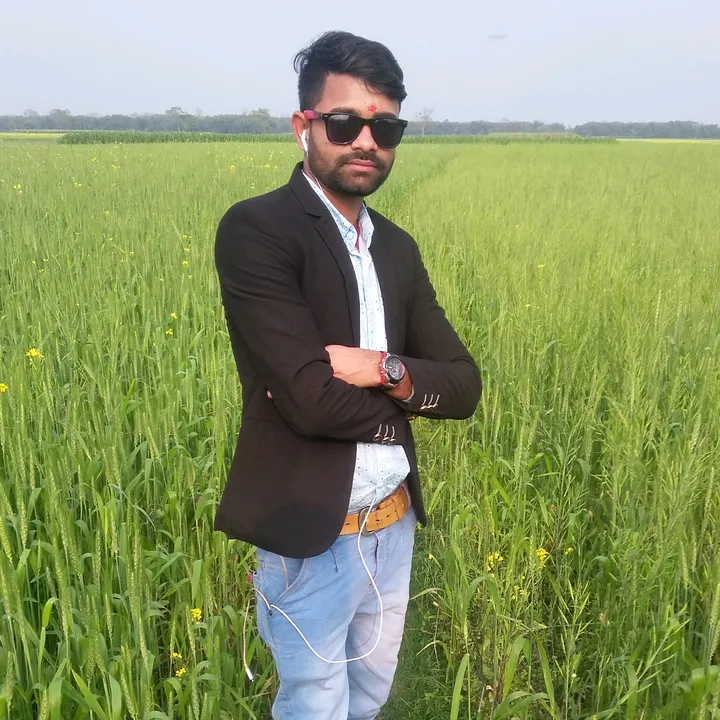 mr.dev_75