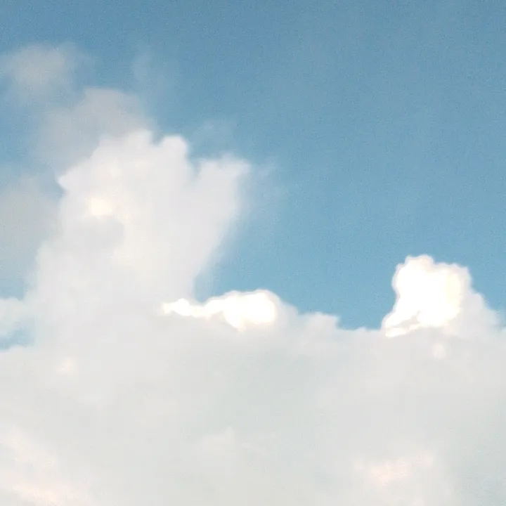 @nanu.shakya5
