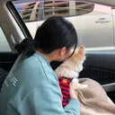 @mint_komame