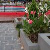 ajaysharmao25