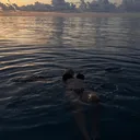 @eaf19__