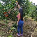 @indiadelcauca10oficial